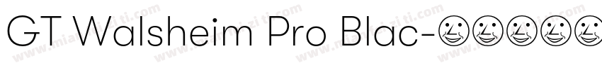 GT Walsheim Pro Blac字体转换